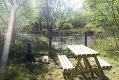 Non electric wild woodland pitches Non electric wild woodland pitches