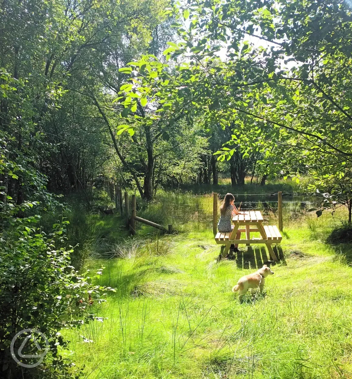 Picnic benches around site