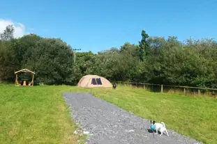 Cae Ddel Country Camping, Criccieth, Gwynedd (4.6 miles)