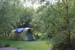 Grass non electric pitch