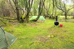 Non electric wild woodland pitches