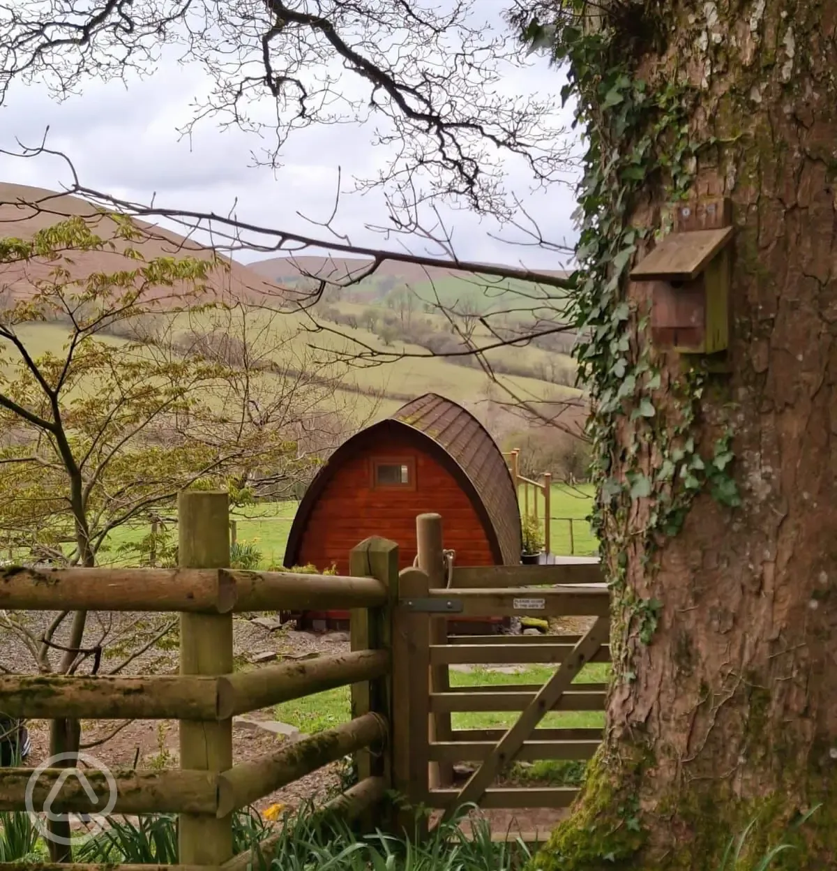 Alder Camping Pod
