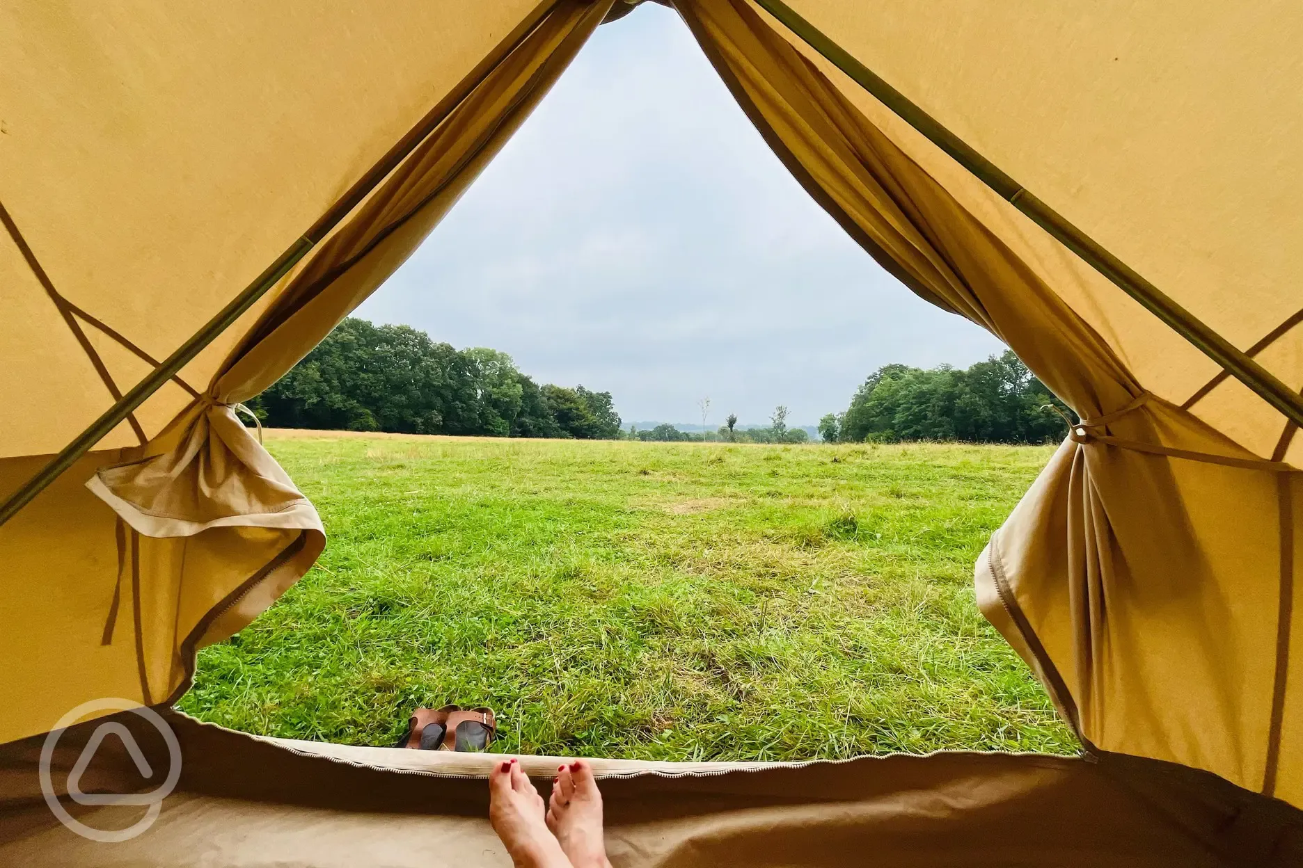 View from bell tent