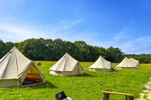 Sunnyside Pop Up Camping, East Grinstead, West Sussex