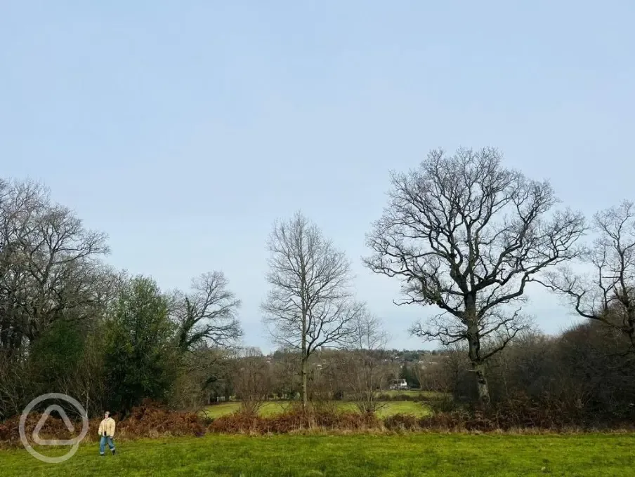 View from campsite