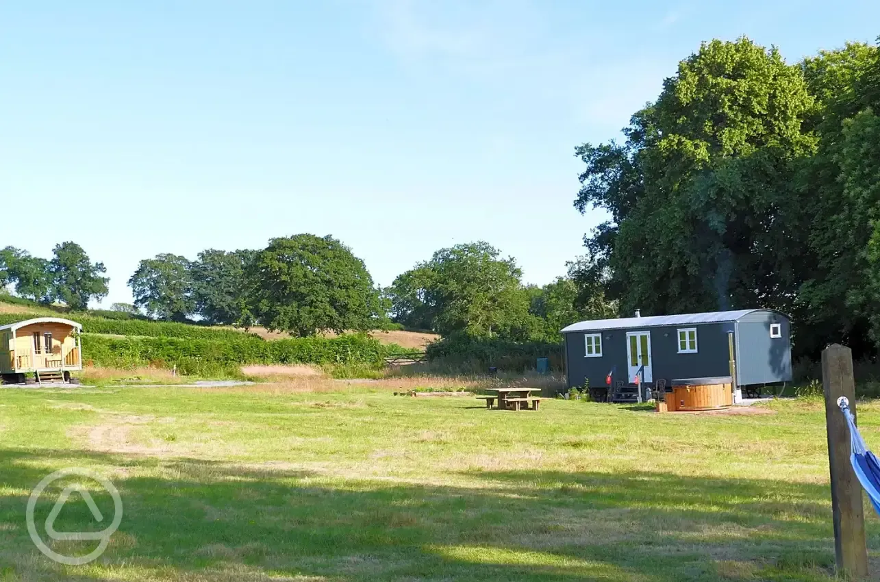 Glamping field