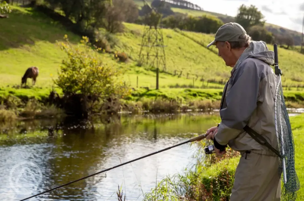 Onsite fishing in the river Teifi