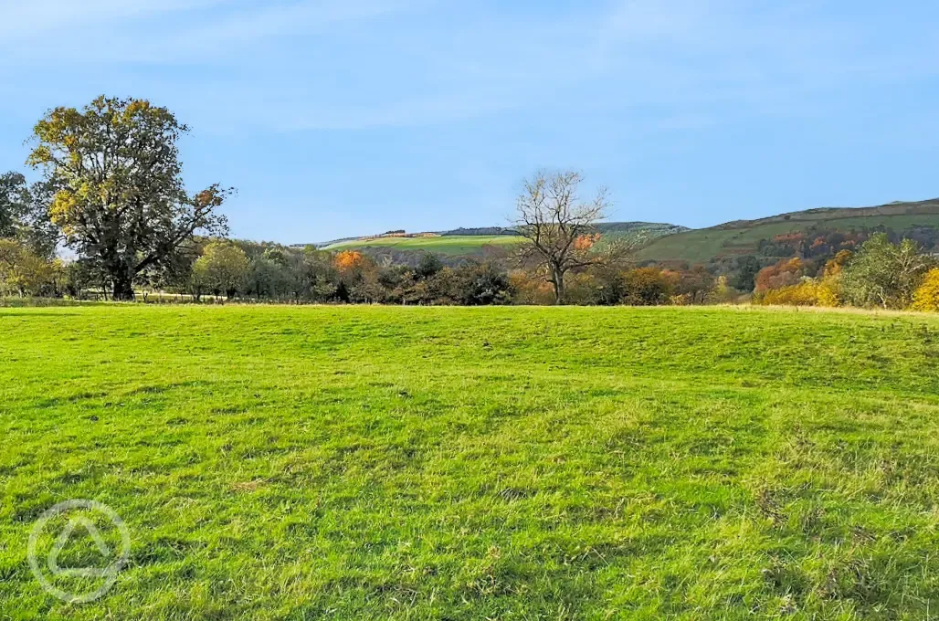 Non electric grass pitches 