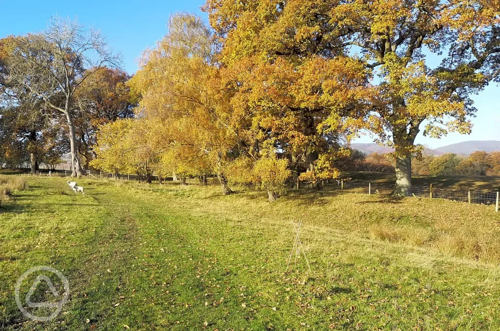 Non electric grass pitches 