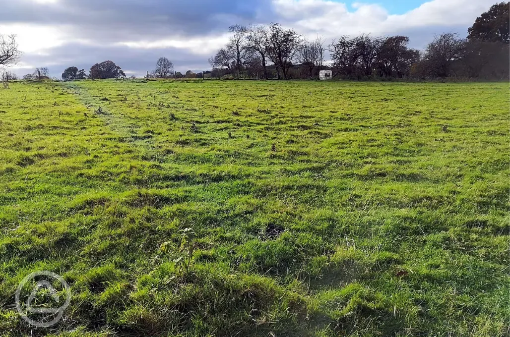 Non electric grass pitches 