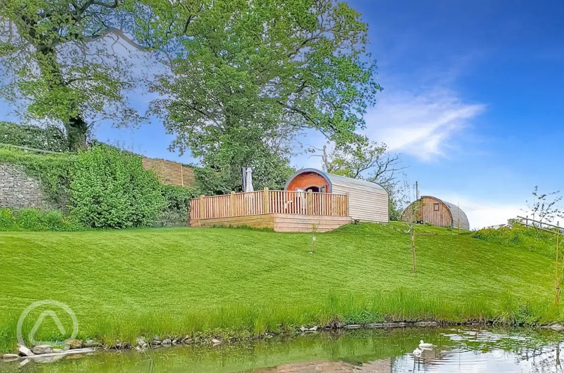 Glamping pods with views of the pond