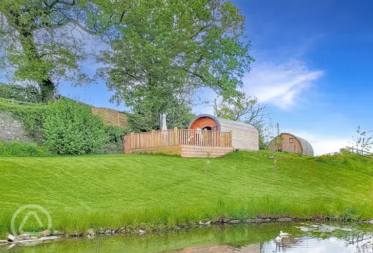 Glamping pods with views of the pond