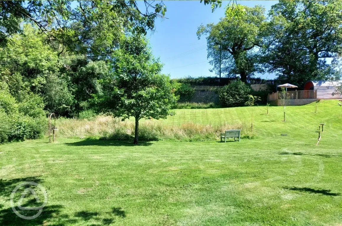 Planting around the site