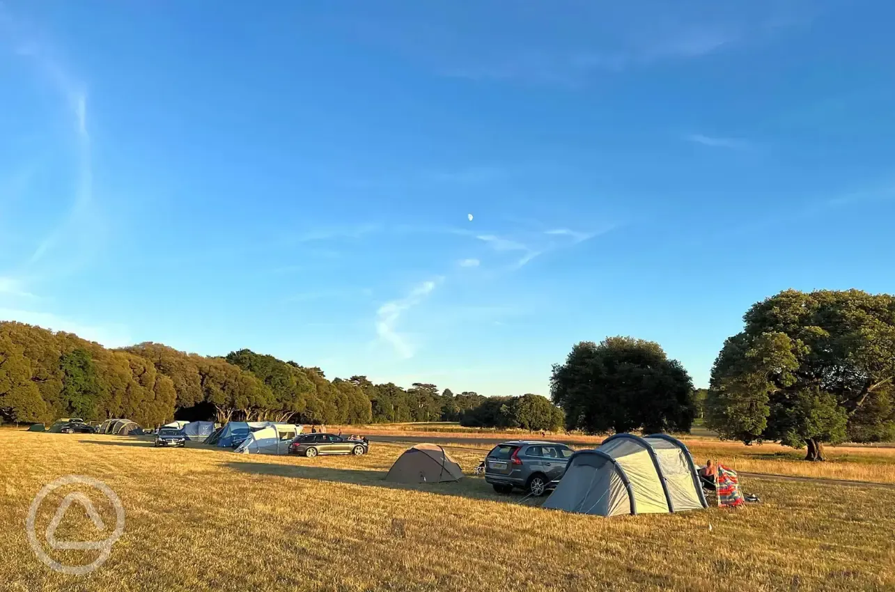 Non electric grass tent pitches