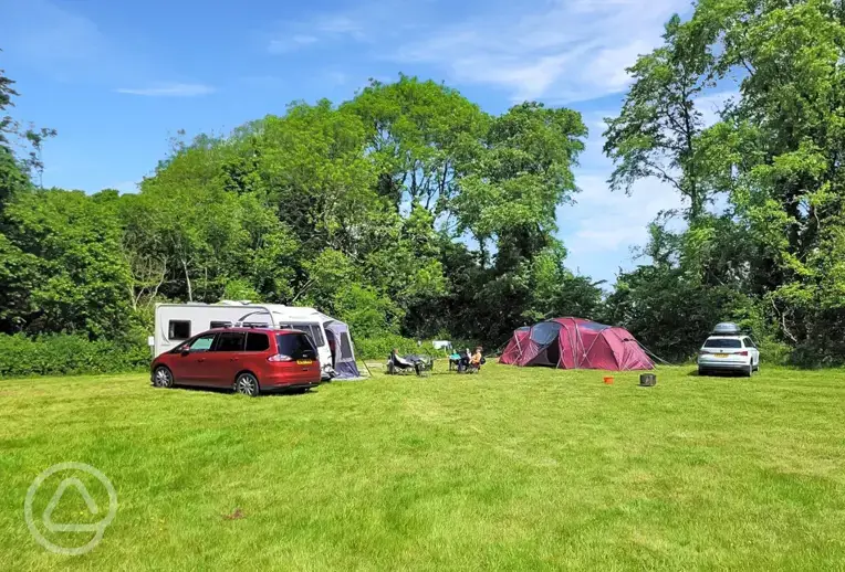 Non electric grass pitches