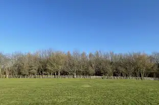 Mill Heights Campsite, Calborune, Isle of Wight (4.1 miles)