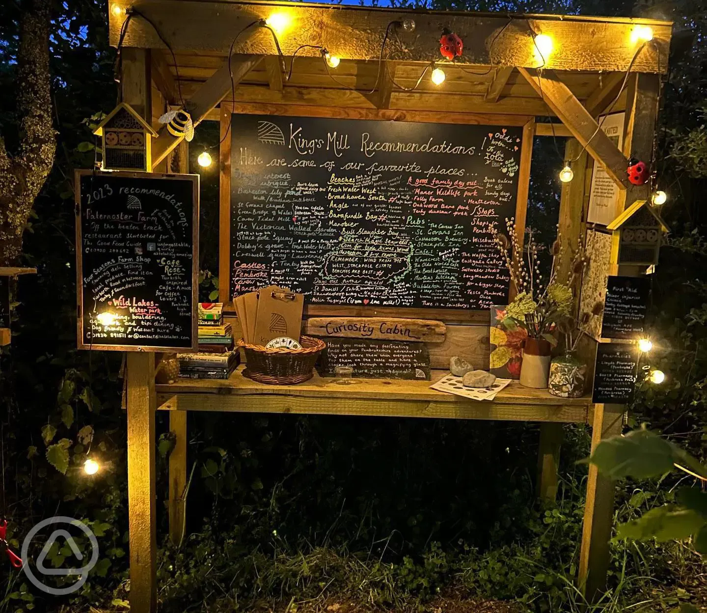 Curiosity corner at night