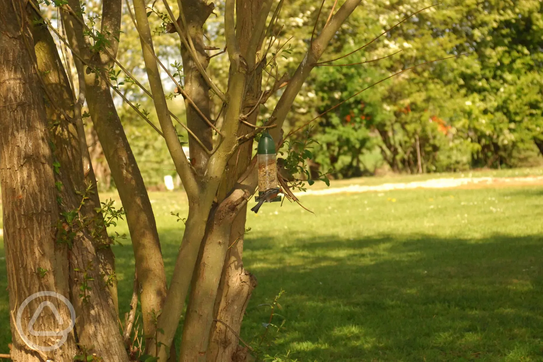 Bird feeder
