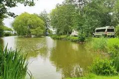 Grass pitches by the fishing lake Grass pitches by the fishing lake