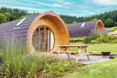 Glamping pods Glamping pods