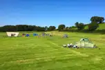 Non electric grass pitches