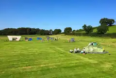 Non electric grass pitches