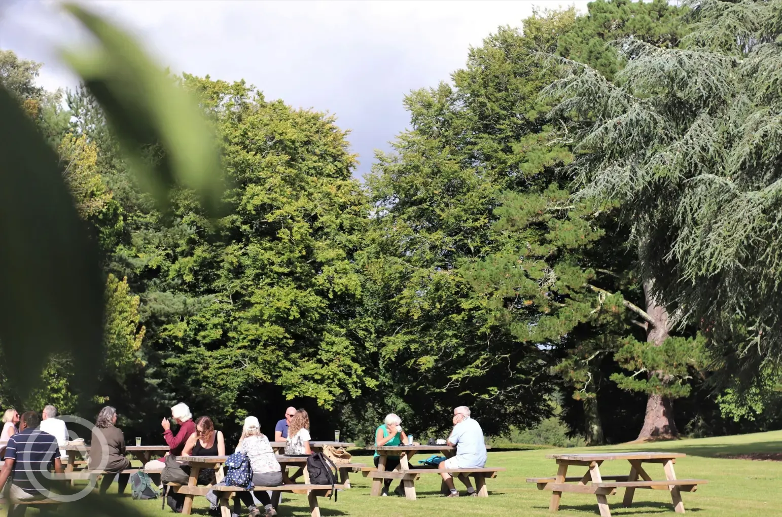 Darington Estate grounds
