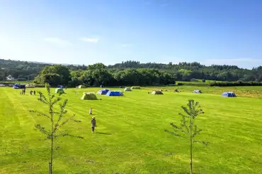 Non electric grass pitches
