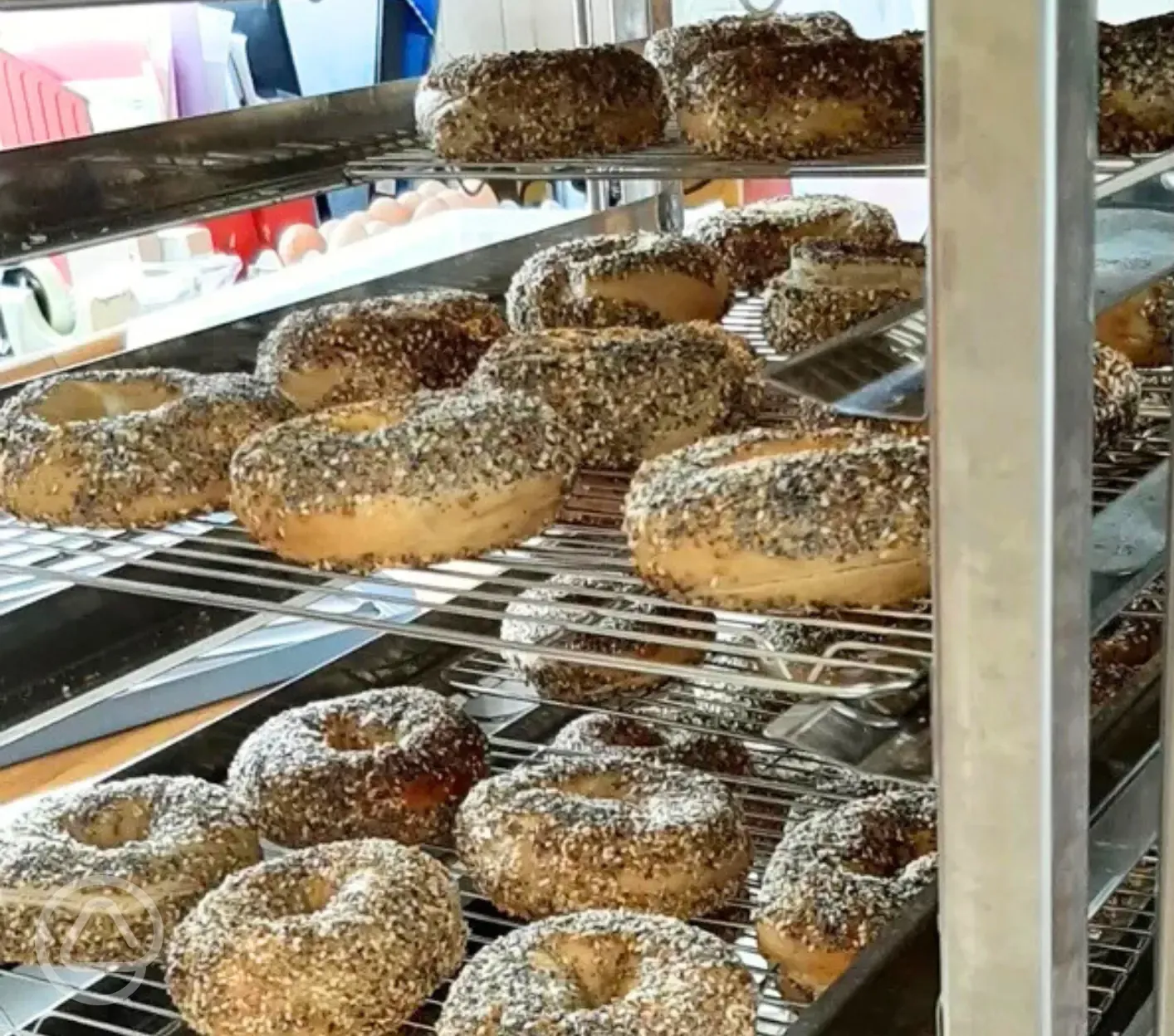 Food from Montreal Style Bagels - bagel making experience