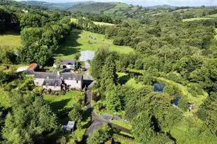 The Wildman Woods, Llangadog, Carmarthenshire
