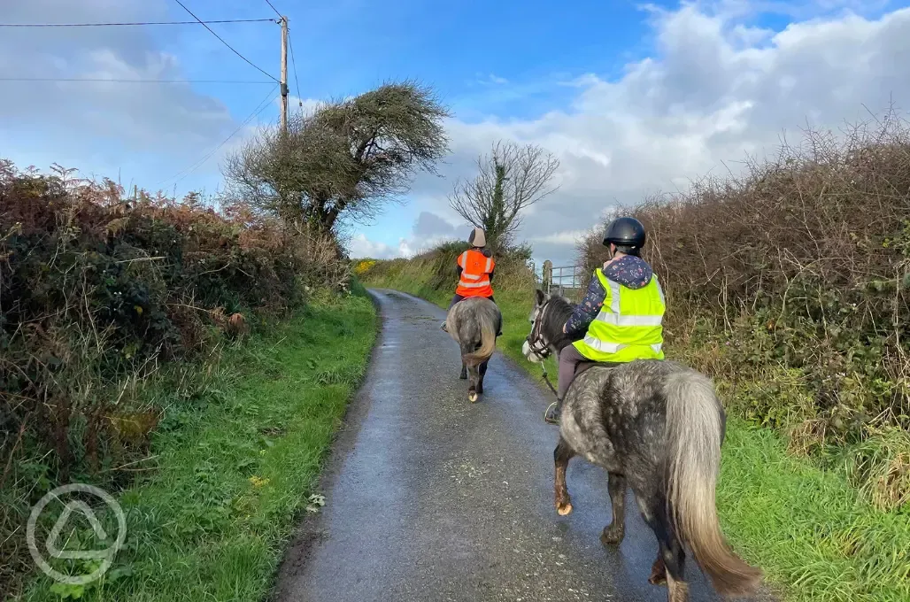 Horse riding onsite