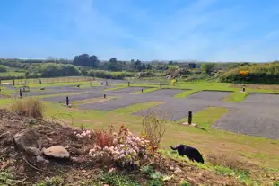 Maes Carafanau Penbryn Site, Holyhead, Anglesey (11.1 miles)