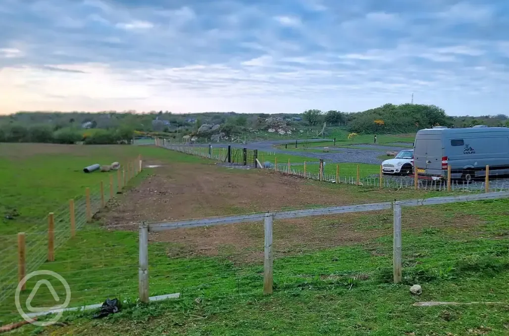 Dog friendly exercise field