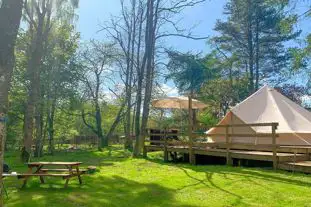 North Lodge Glamping, Lanark, Edinburgh and the Lothians