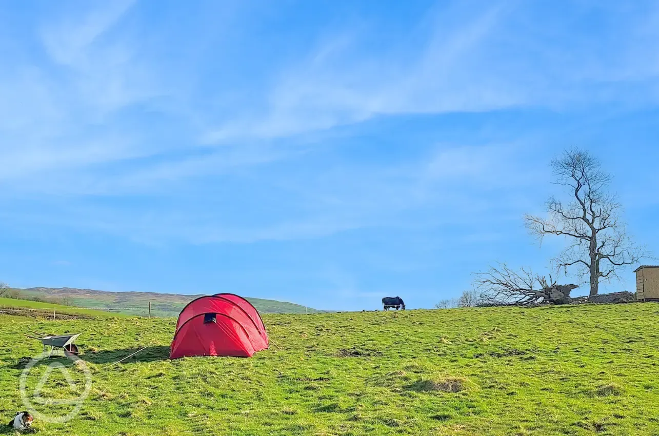 Non electric grass tent pitches