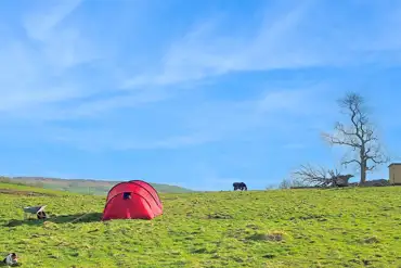 Non electric grass tent pitches at Cockin Farm Campsite