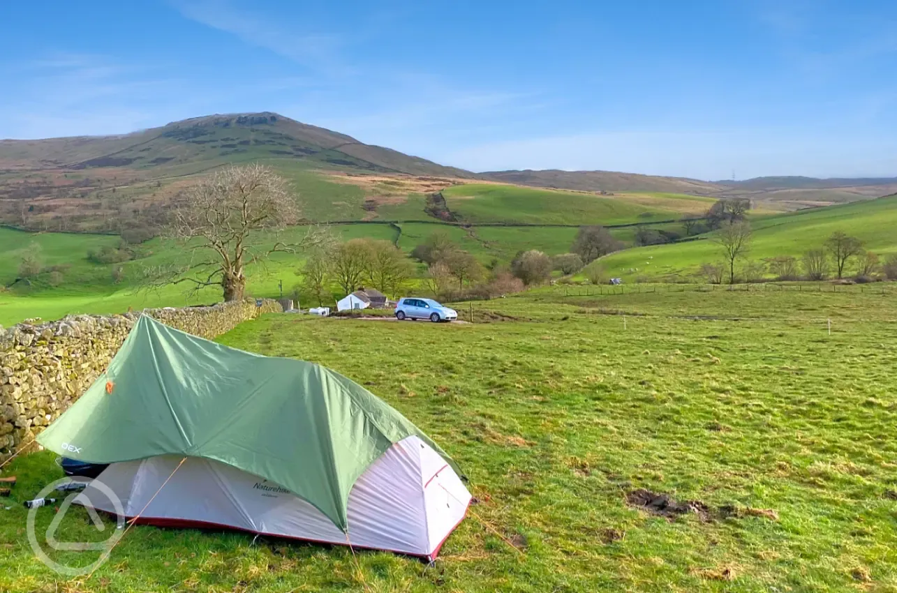 Non electric grass tent pitches