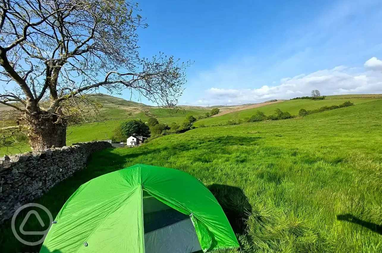 Non electric grass tent pitches