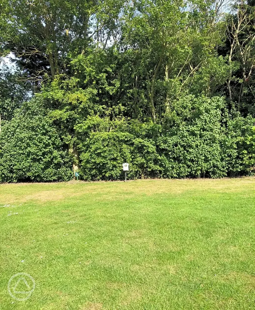 Electric grass pitches with 16 amp hook up Electric grass pitches with 16 amp hook up