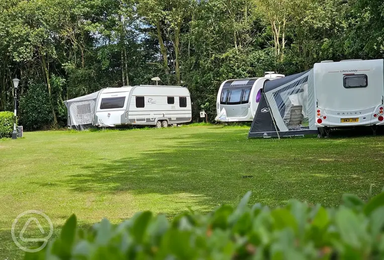 Electric grass caravan only pitches pitches at Roach Farm Park