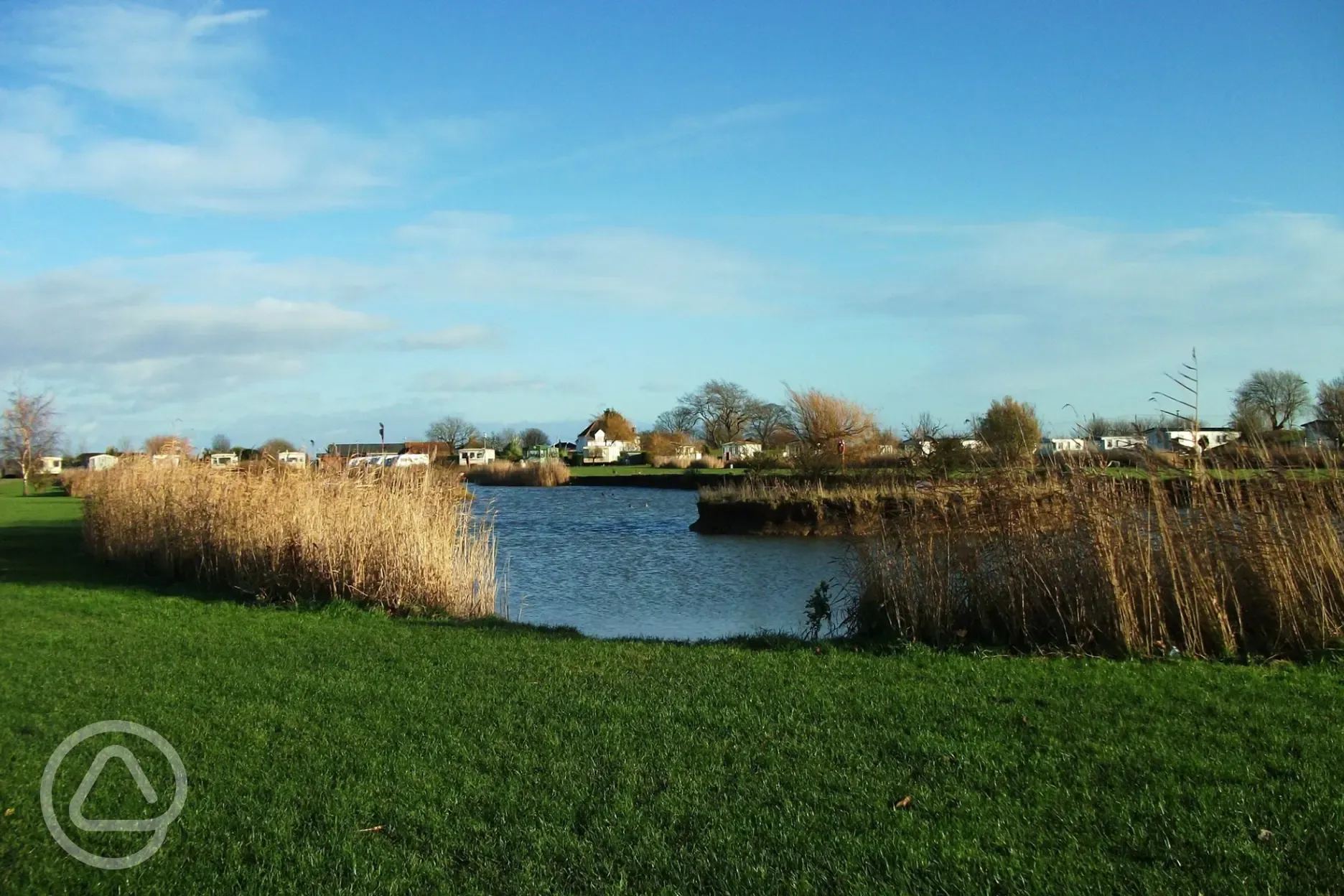 Fishing lakes at Roach Farm stocked with carp, bream, roach, rudd and more  Fishing lakes at Roach Farm stocked with carp, bream, roach, rudd and more