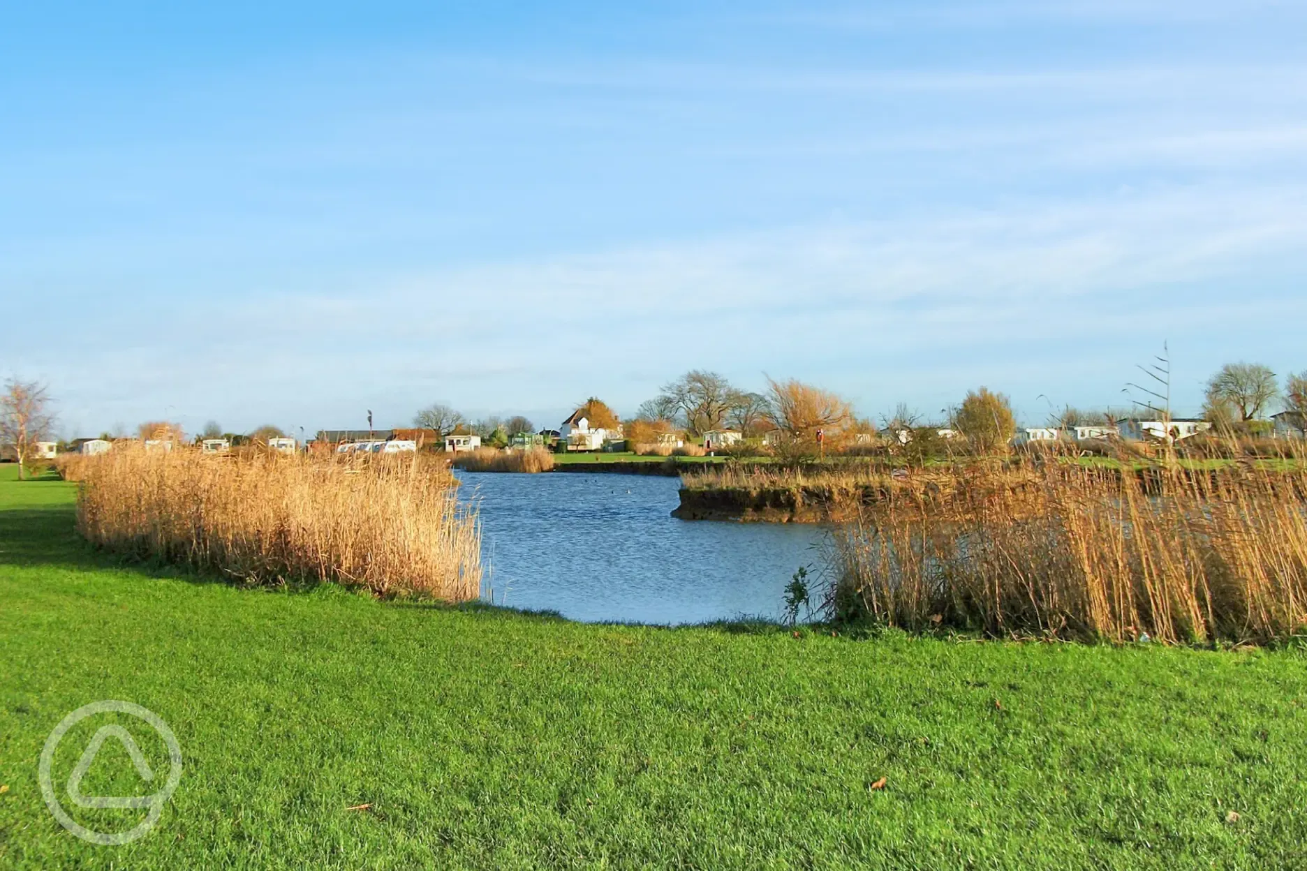 Fishing lakes at Roach Farm stocked with carp, bream, roach, rudd and more  Fishing lakes at Roach Farm stocked with carp, bream, roach, rudd and more