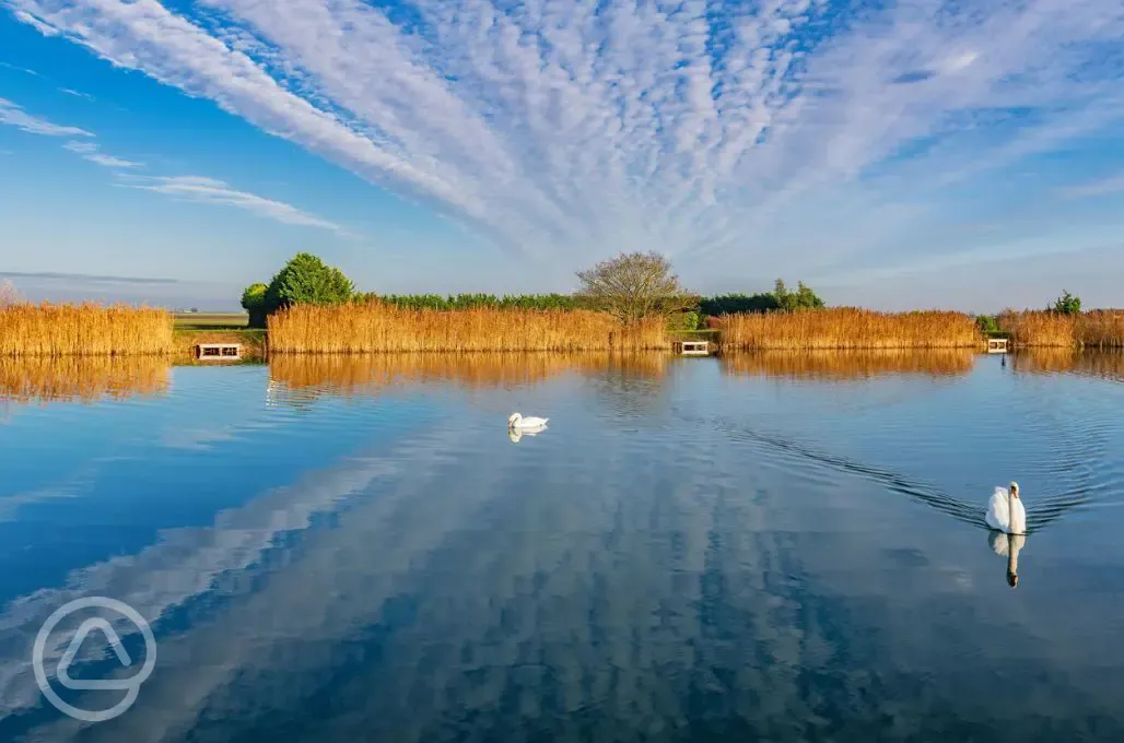 Onsite fishing lakes