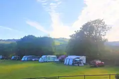 Electric grass pitches Electric grass pitches