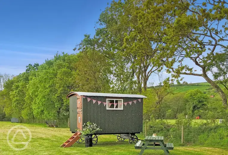 Shepherd's hut