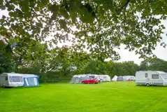 Electric grass pitches Electric grass pitches
