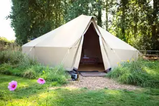 Camel Creek Camping and Glamping, Wadebridge, Cornwall (8.8 miles)