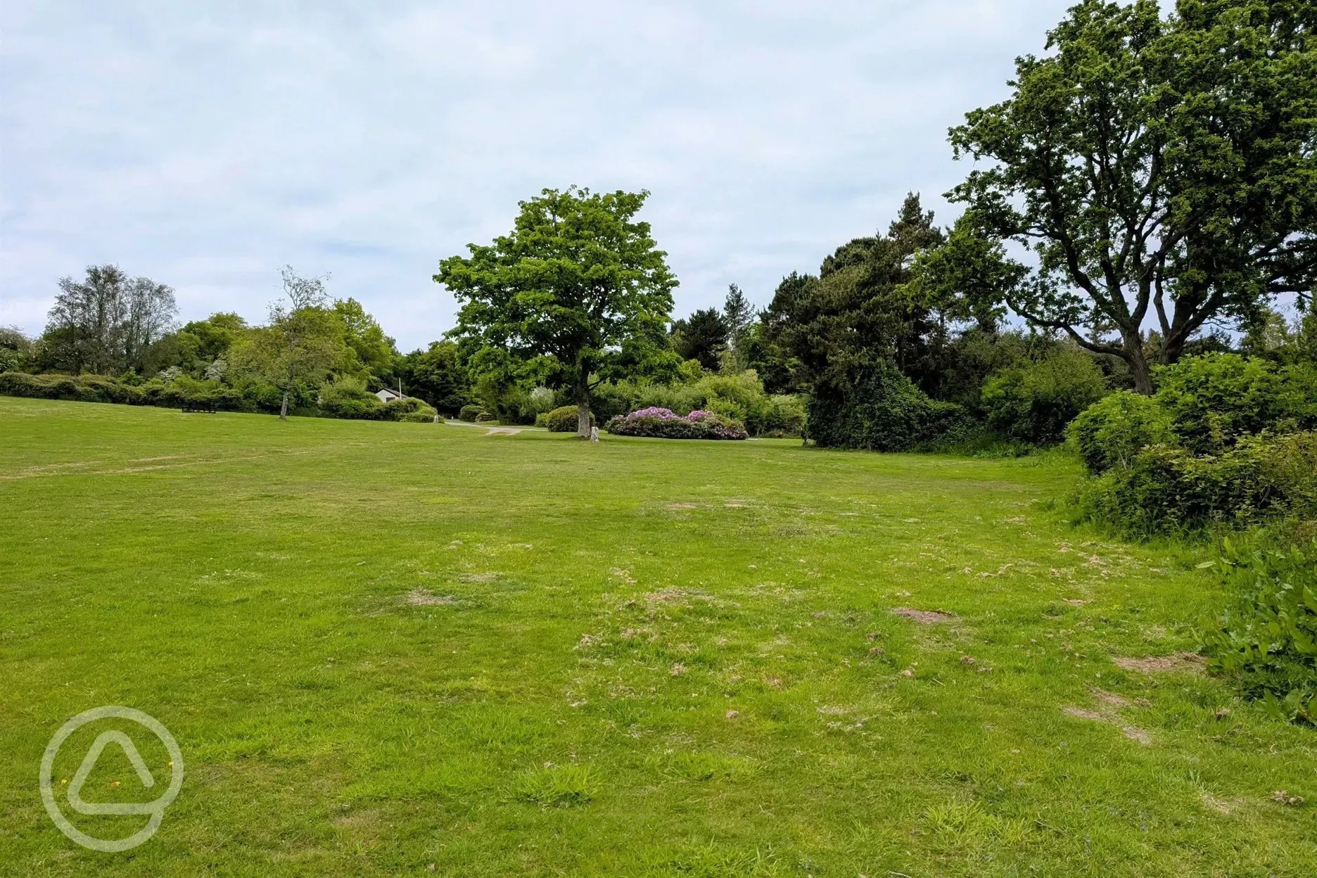 Non electric grass pitches