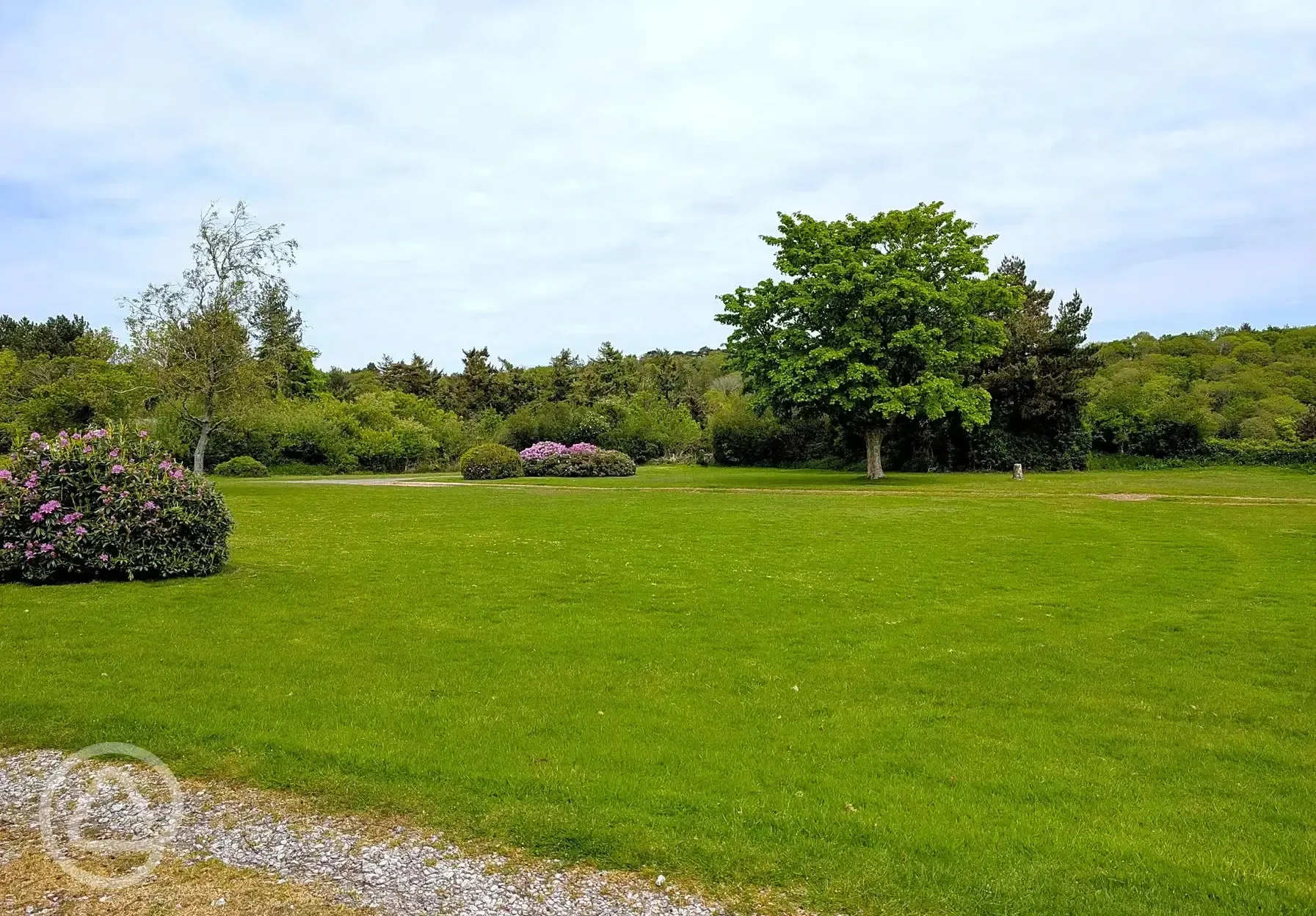 Non electric grass pitches