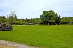 Non electric grass pitches Non electric grass pitches